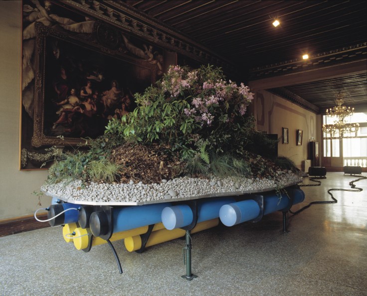 starling_islandofweed1000