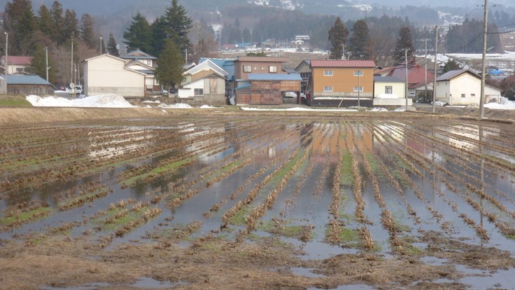 Rice farming village.  Photo and permission Su Grierson