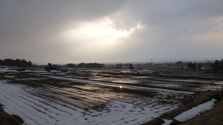 Snow melting on rice fields.  Photo and permission Su Grierson