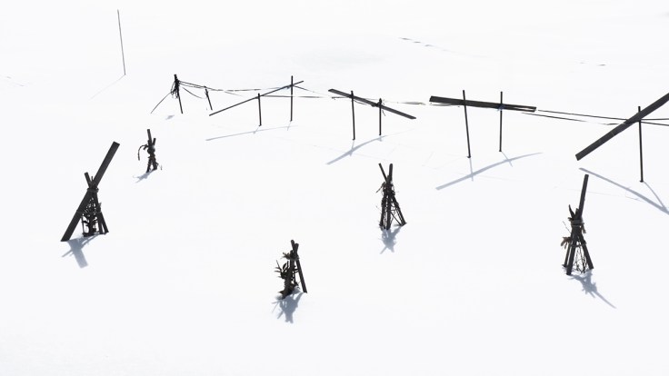 Agricultural calligraphy, 2013, Su Grierson with permission