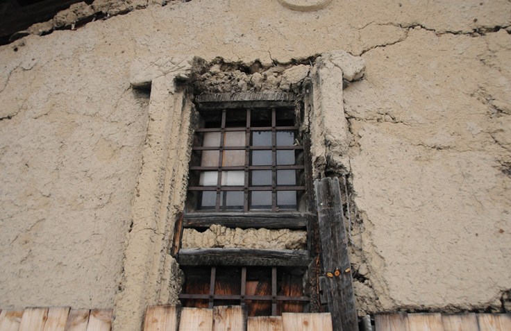 Kura in decline, photo and permission Su Grierson