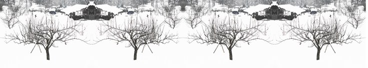 Link, 2013, Su Grierson, with permission