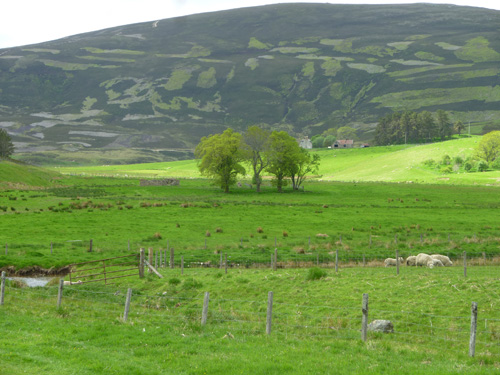 Corgarff, 2013, Photo: Chris Fremantle