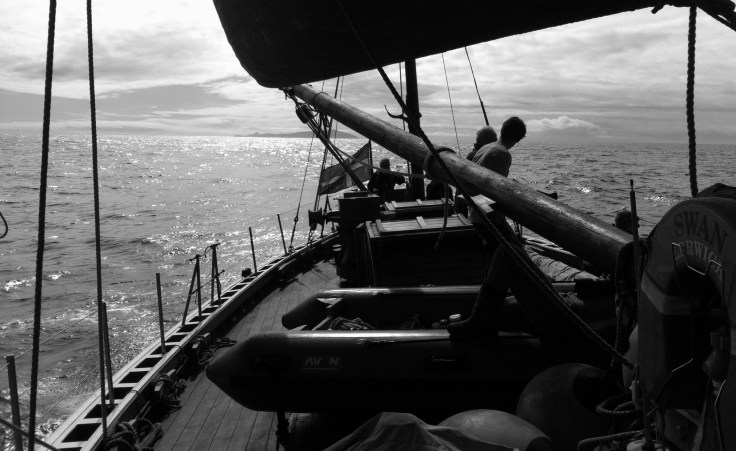 The Swan at sea, Photo James Brady with permission