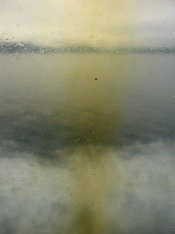 View out of Clyde ferry, 2011, Photo Chris Fremantle