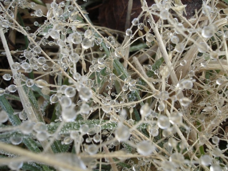 JS: Untitled, digital print (500 x 309mm approximately) 2010