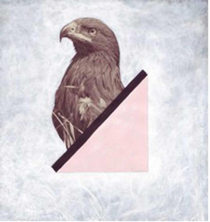 Image from Strange Attractor exhibition courtesy of David Blyth 