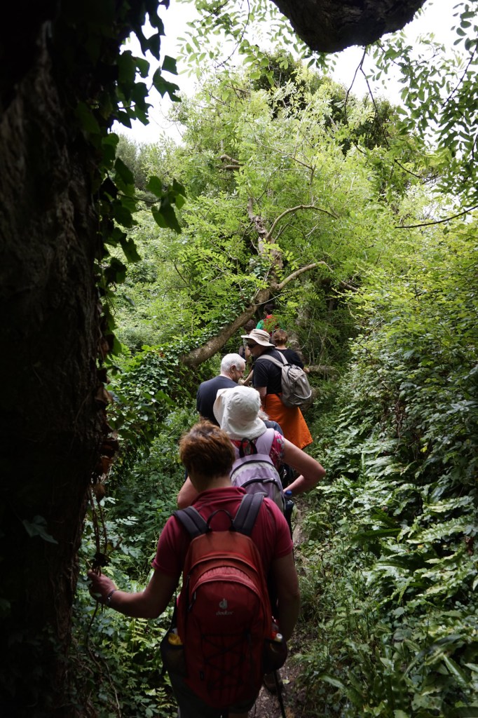 Earthwalking. Photo: Steve Brown