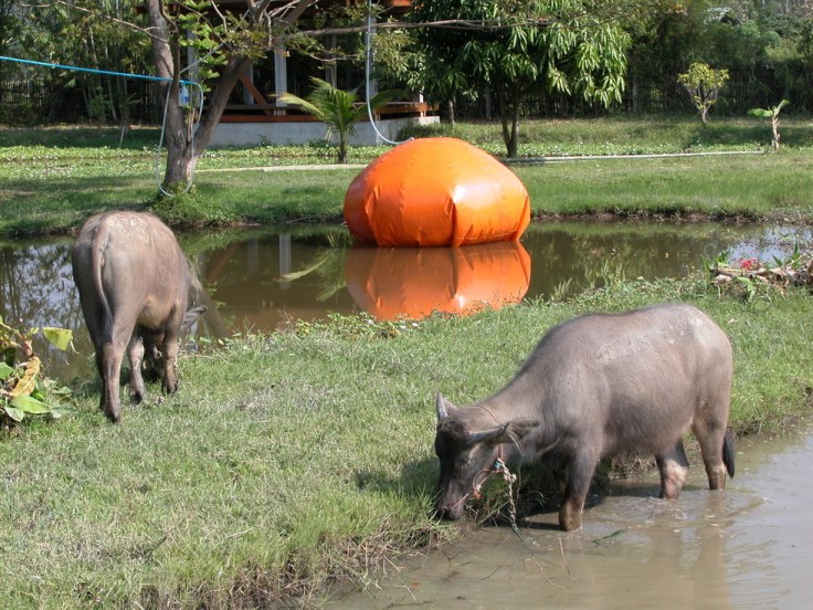 xlarge_supergas_thailand