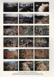 Serpentine Lattice catalogue, courtesy of the artists