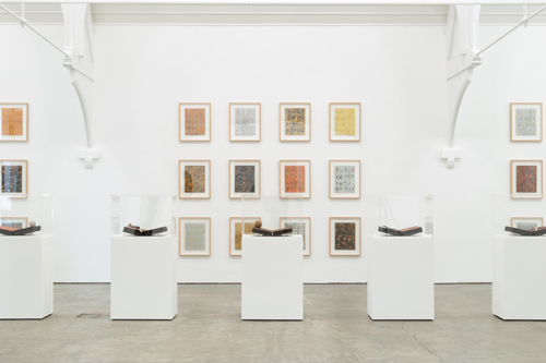 Installation view, John Newling Dear Nature at Ikon Gallery, Birmingham UK, 2020 © Ikon Gallery (3) (Large)